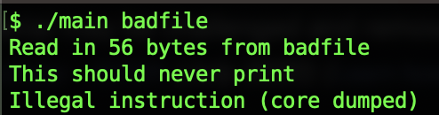 successful buffer overflow exploit